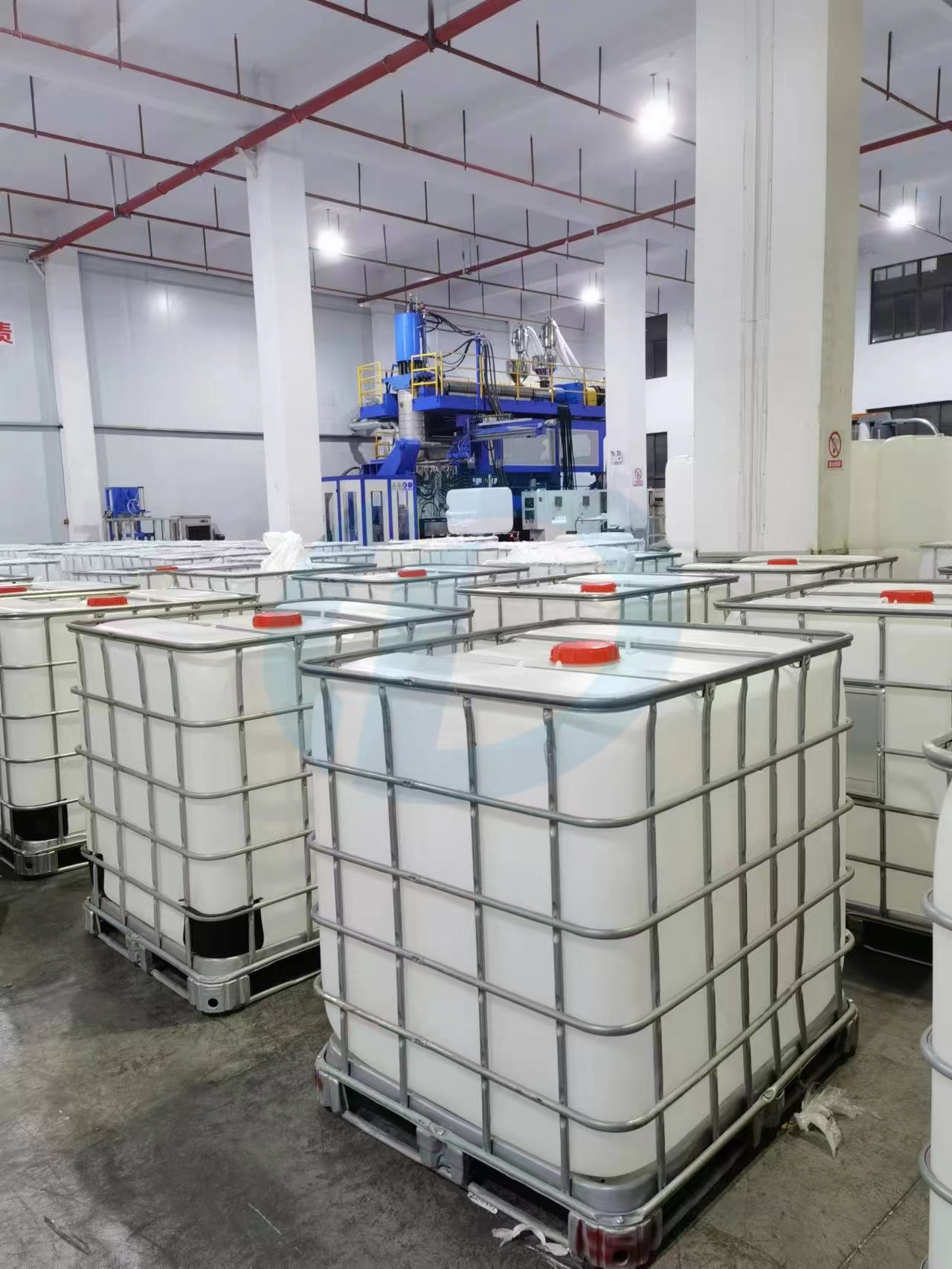 фото_20231117230558